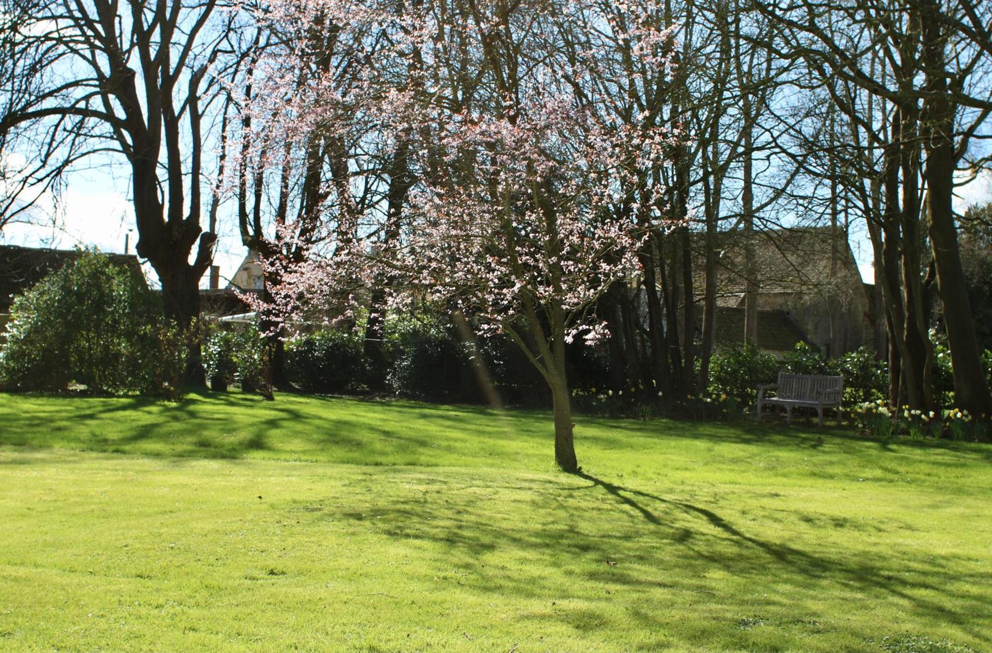 Parsonage House, Badminton Bed & Breakfast Great Badminton Exterior photo